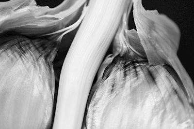 Black and White Garlic 