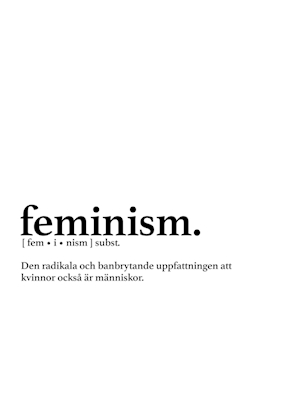 Feminisme sitat