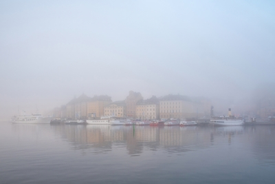 Mist in Old Town