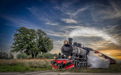Steam locomotive SJ E2 954