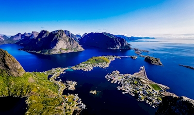 Surreal overview of Reine