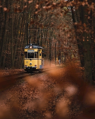 Tram in autumn