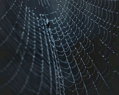 Web van parels