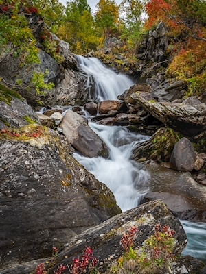 Le ruisseau en tenue d’automne