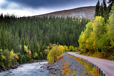 Estrada da montanha em traje de outono.