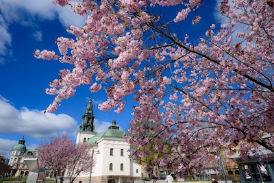 Wiosna w Linköping