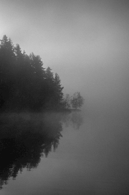 Neblina matinal em preto e branco