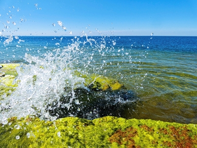 El agua salpica en Öland
