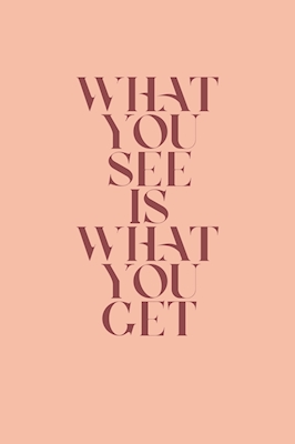 WHAT YOU SEE