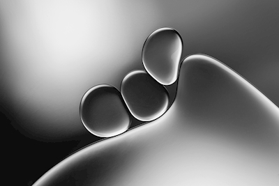 Silvery Shapes