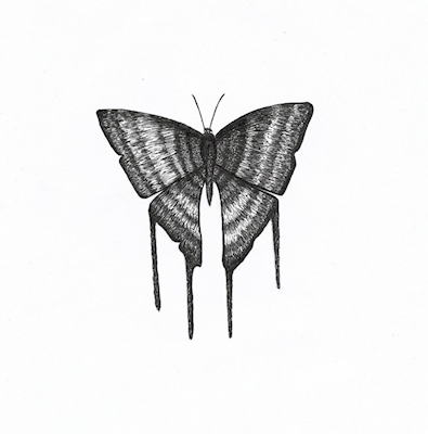 Druipende vlinder 