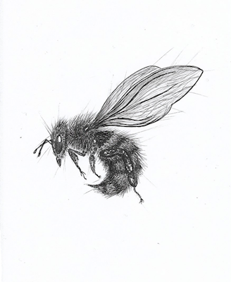 Troublebee (Problémová včela) 