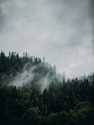 Neblina na montanha