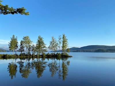 A calm morning in Hälsingland 