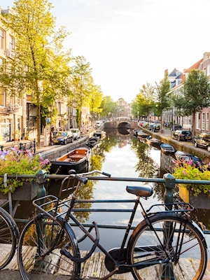 Cykla i Amsterdam