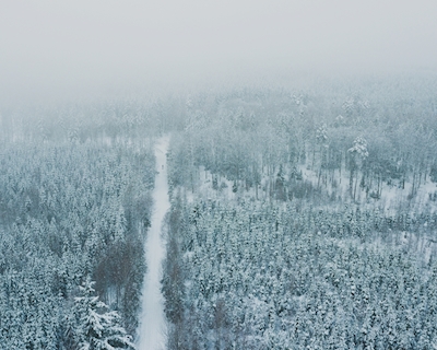 Zimní silnice