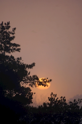 Atmosfærisk solnedgang