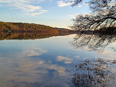Mirror lake 