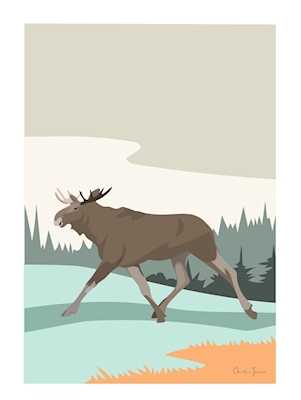 Moose on the go