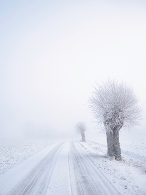 L’hiver à Österlen
