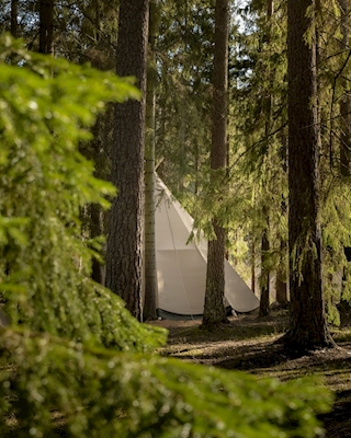 Piilotettu teltta