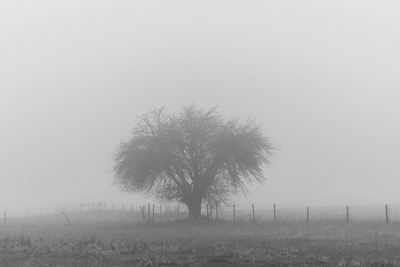 Nebel in ländlichen Gebieten