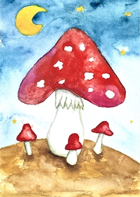 Letové houby