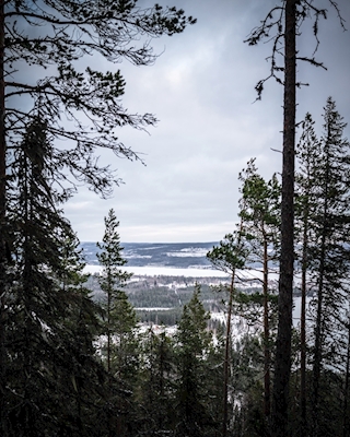 Views of Hälsingland