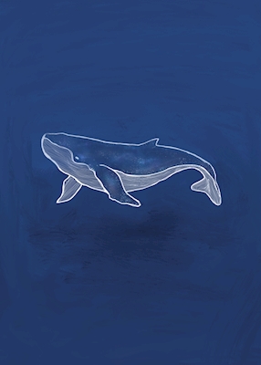Digital whale