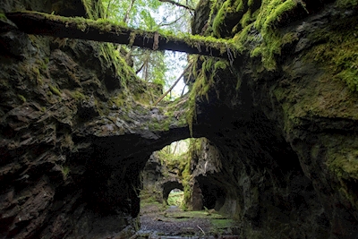 The troll's cave