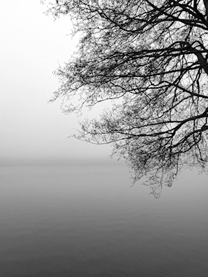 Lago nebbioso