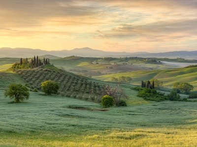 Toscana i det tidiga morgonljuset