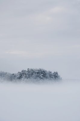 Zimní mlha na ostrově