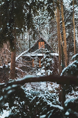 Opuštěný dům v lese