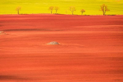 Terras agrícolas vermelhas