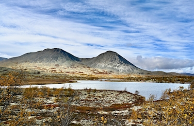 Dølålen Rondane Norwegen