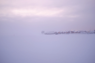 Vinterhvit i Norrland