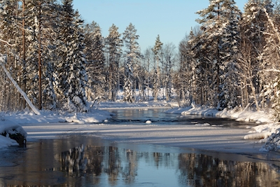 Vinterbild 