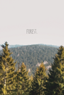 Forêt.