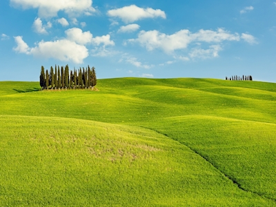Pagórkowaty krajobraz w Toskanii