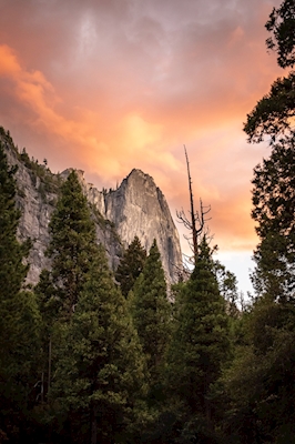 Roccia della Sentinella, Yosemite 