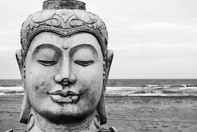 Buddha - Kopf 
