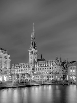 Hamburg rådhus i svart-hvitt