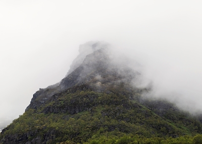 Pico de la montaña en la niebla