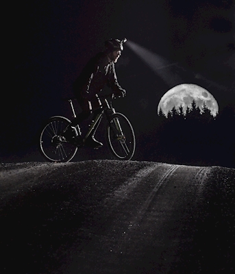 Biking in the Moonlight 