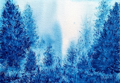 BLUE FOREST OF SNOW