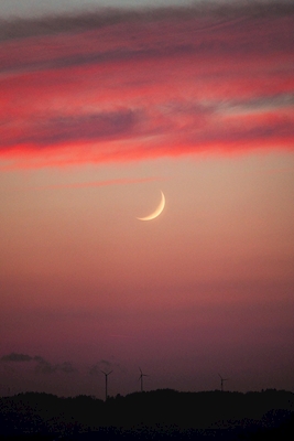Solnedgång med månen 