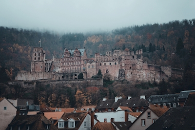 Zamek w Heidelbergu 