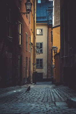Sztokholm Stare Miasto