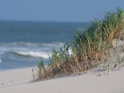 dune and beach of Juist